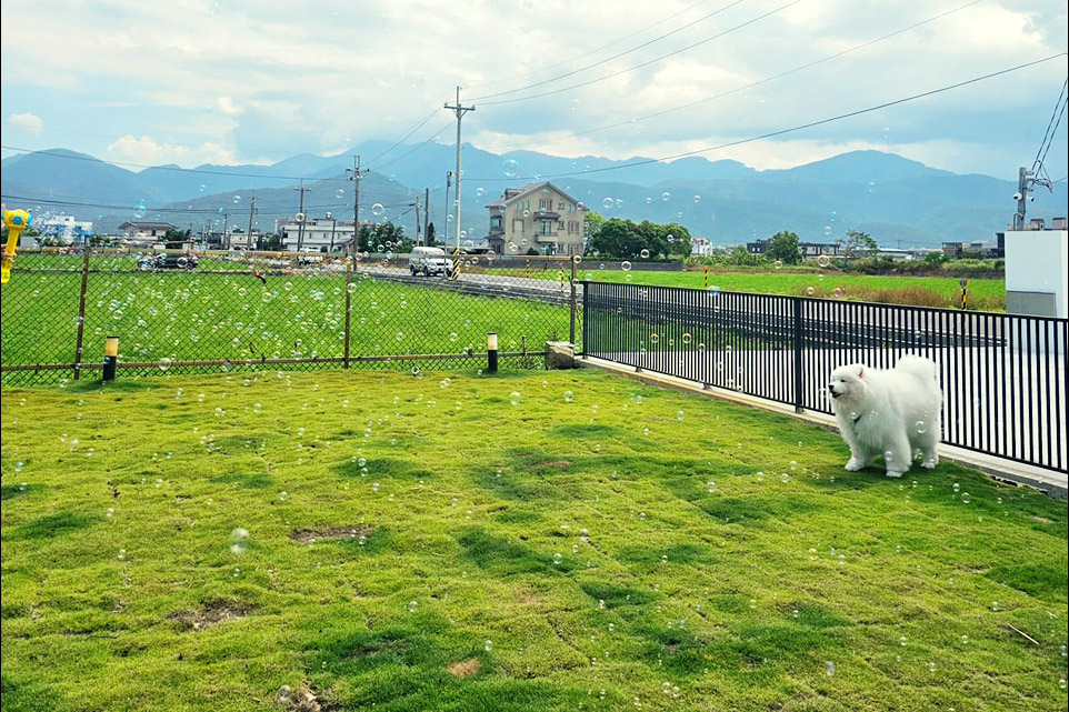 Max Home pet B&B│宜蘭寵物友善民宿‧宜蘭寵物友善餐廳‧一泊二食‧自助下午茶‧寵物鮮食‧大草皮-關於