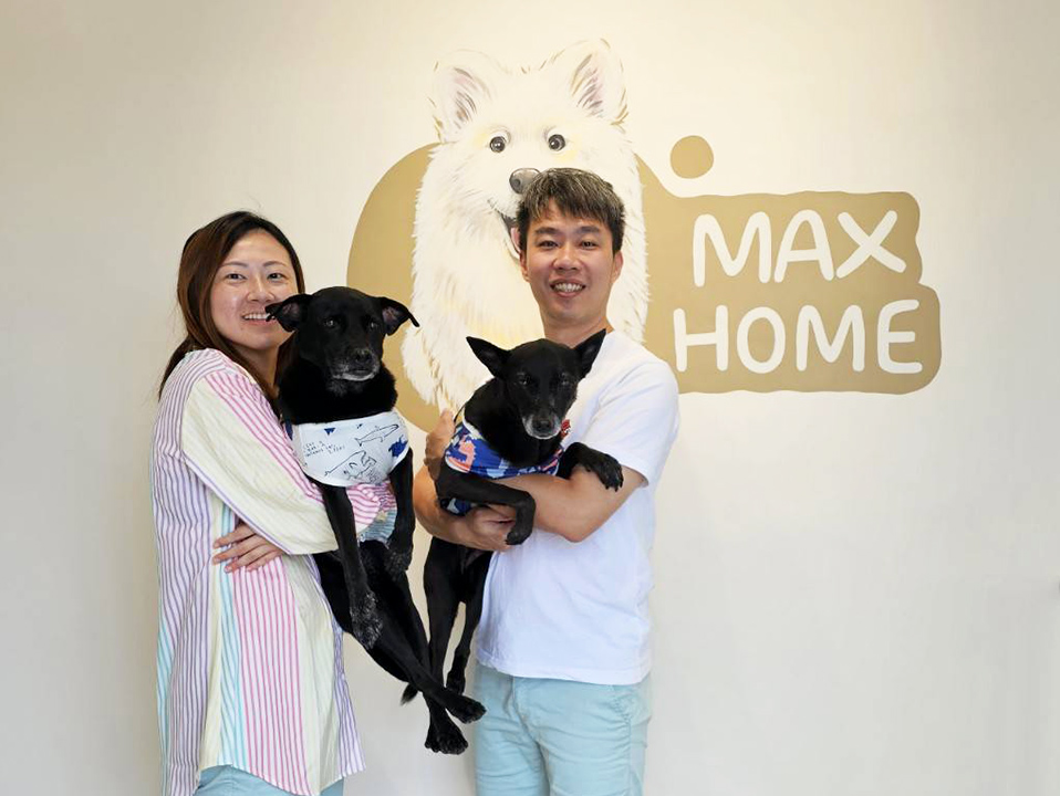 Max Home pet B&B│宜蘭寵物友善民宿‧宜蘭寵物友善餐廳‧一泊二食‧自助下午茶‧寵物鮮食‧大草皮-找Max玩_05